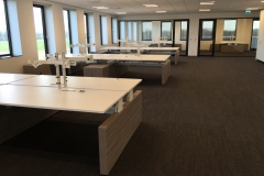 9E92DECD-71AB-4EA4-A6CC-F0E3FE16ED70